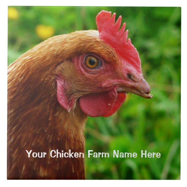 Little Red Laying Hen - RIR or ISA Brown Chicken Tile (Front)