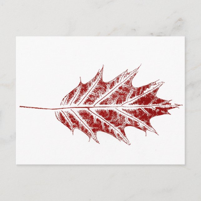 "Little Red Oak" Country Roads Postcard (Front)
