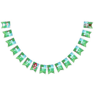 Little Red Riding Hood Fairytale Girls Birthday Bunting Flags