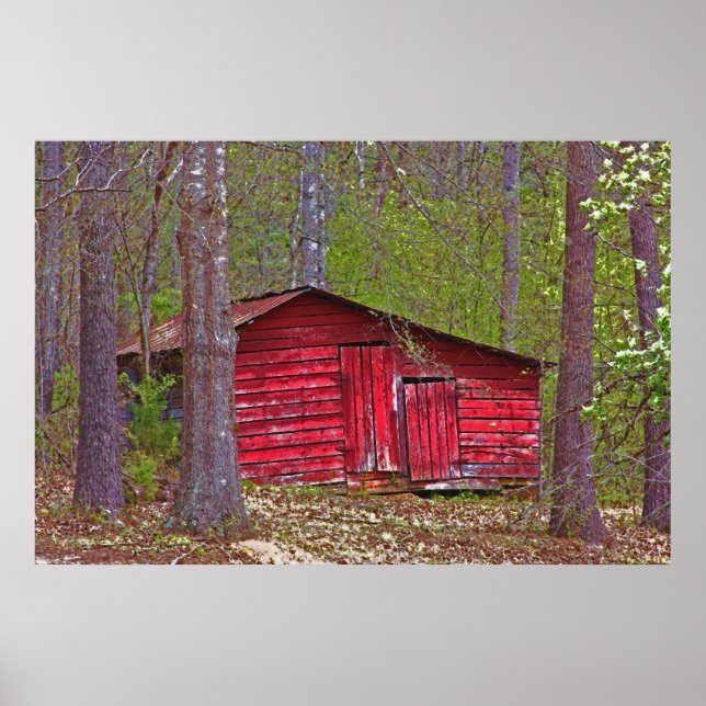 Little Red Shed In The Woods Poster (Front)