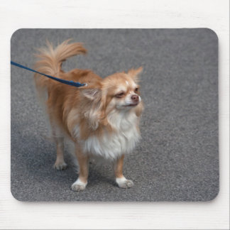 Little Redhead Mouse Pad