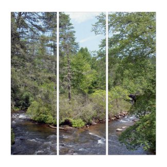 Little River DuPont State Forest NC Mountains Art