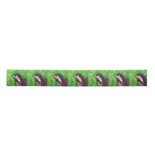 Little River Otter Painting Satin Ribbon