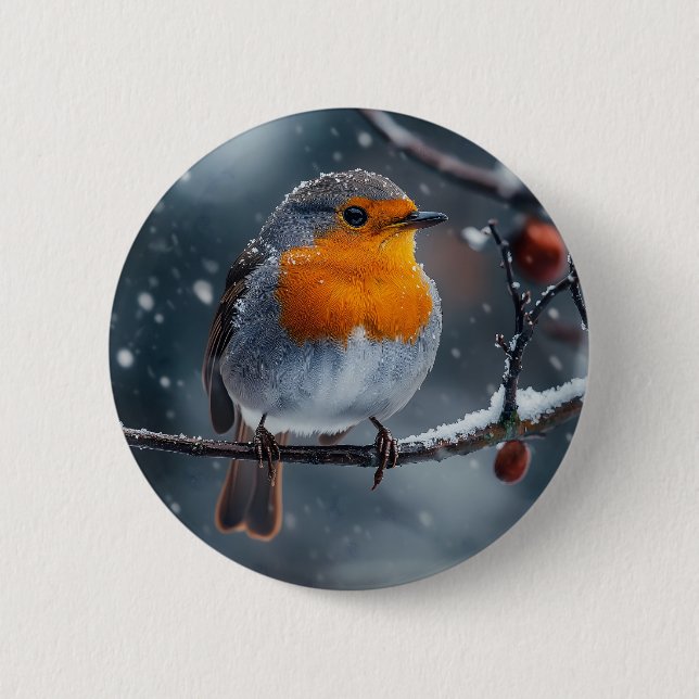 Little robin bird sitting on a branch at winter button (Front)