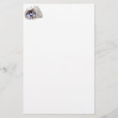 Little Sailor Pekingese (Front)