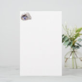 Little Sailor Pekingese (Standing Front)