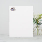 Little Sailor Pekingese (Standing Front)