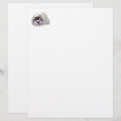 Little Sailor Pekingese (Front/Back)