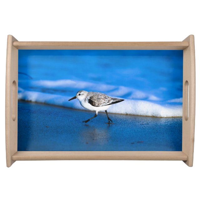 Little Sanderling Bird By Sea Serving Tray (Front)