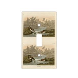 Little Sandpiper from Audubon's Birds of America Light Switch Cover