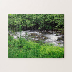Little Sandy River And Ferns Jigsaw Puzzle