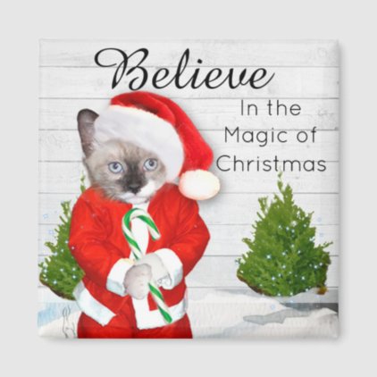 Little Santa Kitten Magnate Magnet