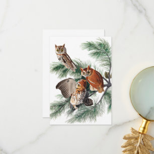 Little Screech Owl by John James Audubon Thank You Card