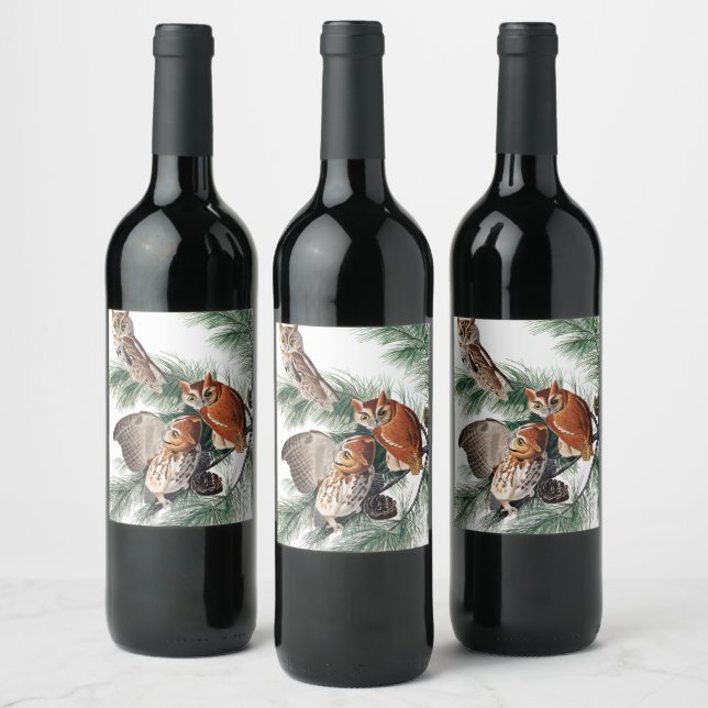 Little Screech Owl by John James Audubon Wine Label (Bottles)