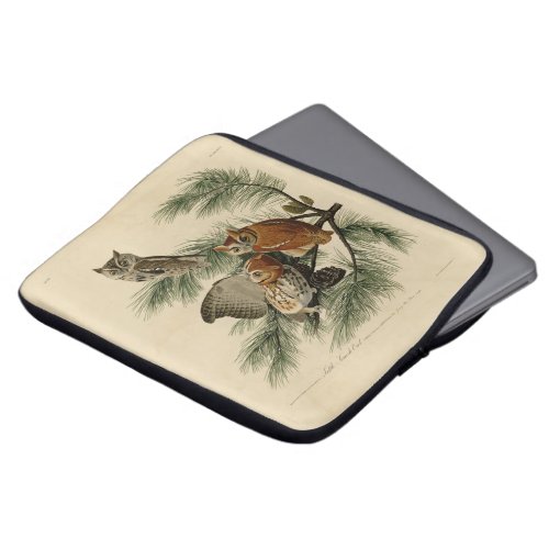 Little Screech Owl from Audubons Birds of America Laptop Sleeve