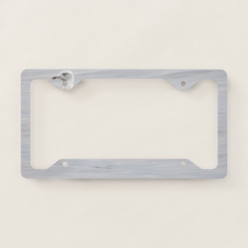 Little seagull license plate frame