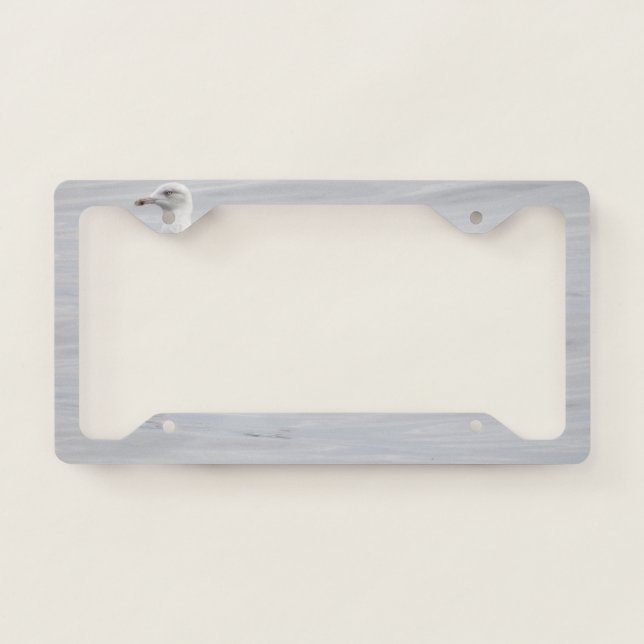 Little seagull license plate frame (Front)