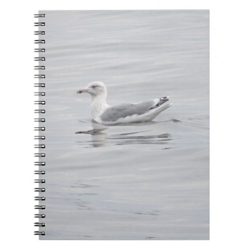 Little seagull notebook