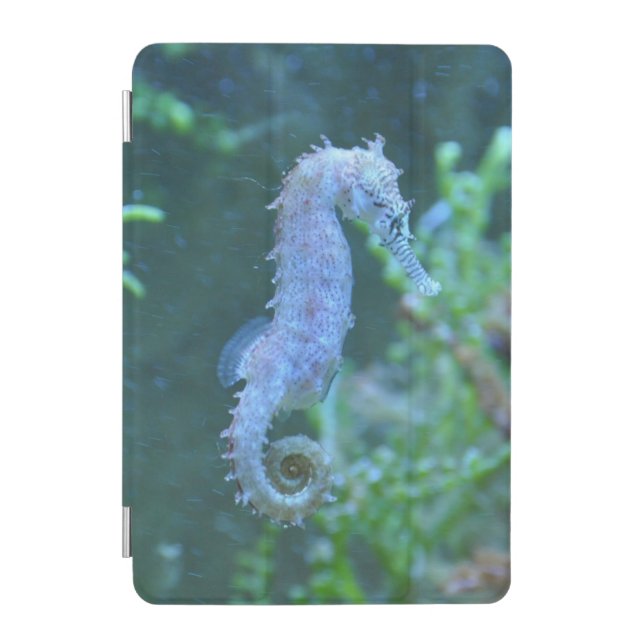 Little Seahorse iPad Smart Cover (Front)