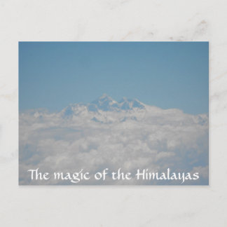 Little Seeds Post Card 4