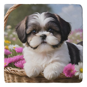 Little Shih Tzu Puppy Basket Flowers Trivet