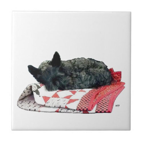 Little Sleeping Scottie Dog Tile