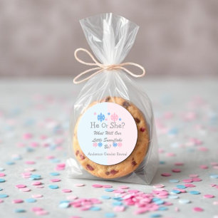 Little Snowflake Gender Reveal Classic Round Sticker