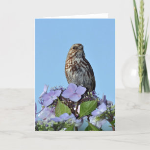 Little songbird greeting card