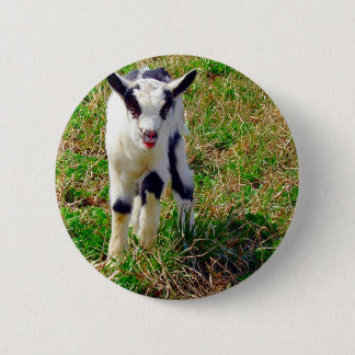 Little Spot Button