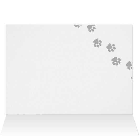 Little Star Chow Chow (Inside Horizontal (Top))