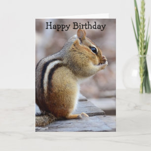 Little Stinker Chipmunk Birthday Card