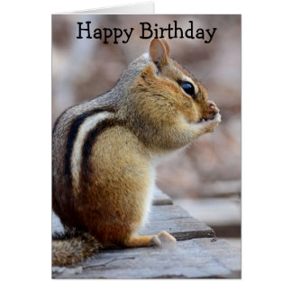 Chipmunk Birthday Cards | Zazzle