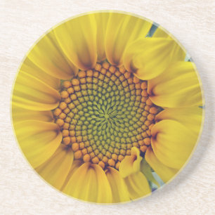 Little Sunflower Sandstone Coaster