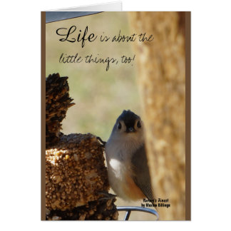 Little Things Cards