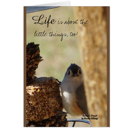 Little Things Cards (Front)