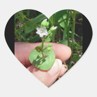 Little Things heart shaped sticker