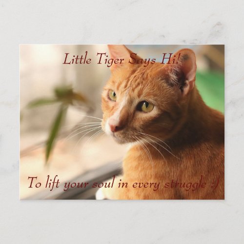 Little Tiger Says Hi Postcard