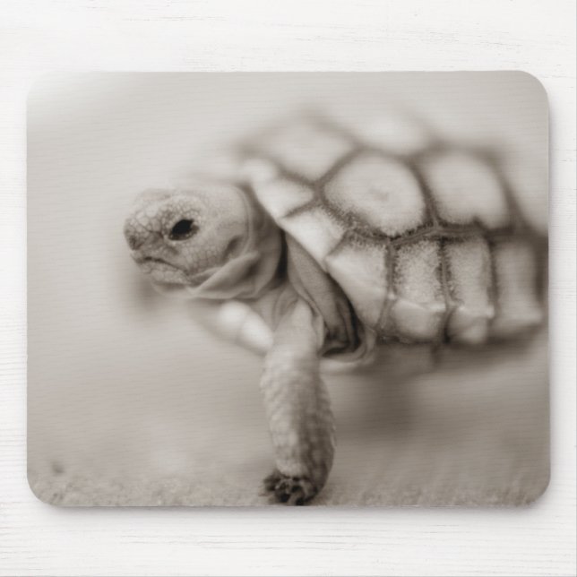 Little Tortoise Mouse Pad (Front)