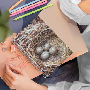 Little Treasures Bird Nest Eggs Notebook