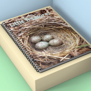 Little Treasures Bird Nest Eggs Notebook