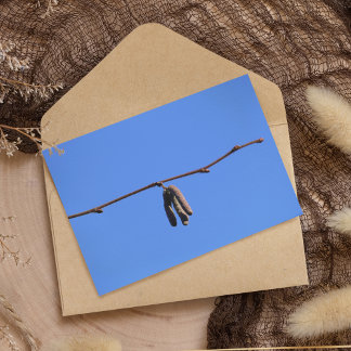 Little Twig on Blue Sky Postcard