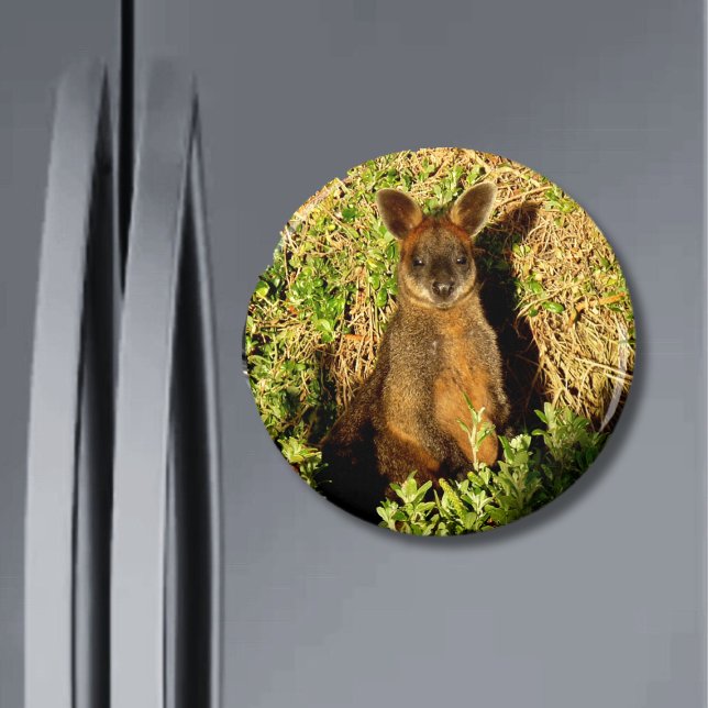 Little Wallaby Magnet (Creator Uploaded)