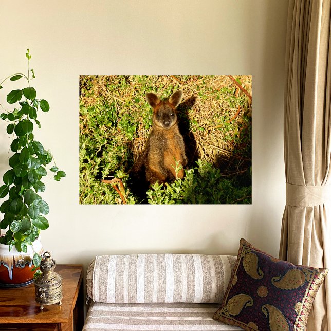 Little Wallaby Photo Print (Creator Uploaded)