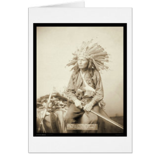 Little, Wearing Feather Headdress SD 1890 Cards