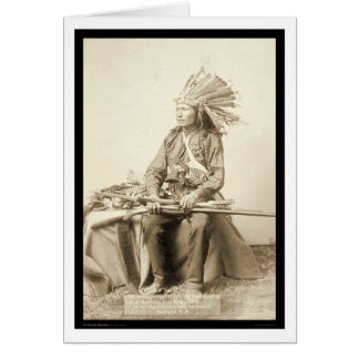 Little, Wearing Headdress at Wounded Knee SD 1890 Cards