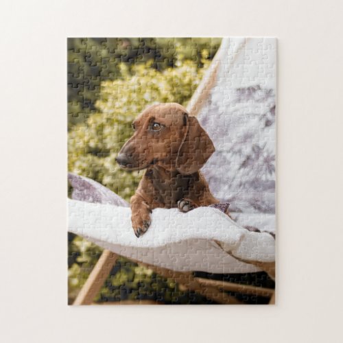 Little Weiner Dog Lounging In The Sun Jigsaw Puzzle