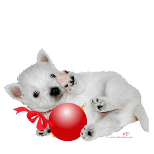 Little Westie with Ornament Statuette