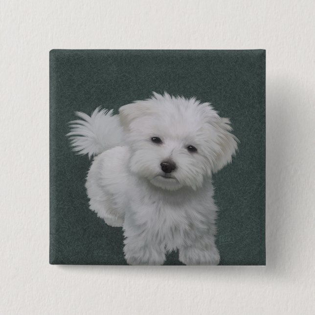   Little white dog pet portrait  Button (Front)