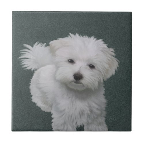   Little white dog pet portrait  Ceramic Tile