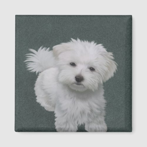   Little white dog pet portrait  Magnet